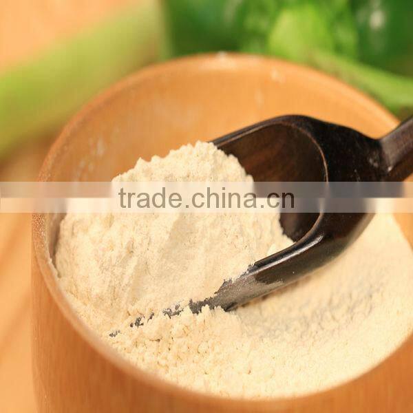 Strong Taste A grade Garlic Ground 100-120 Mesh