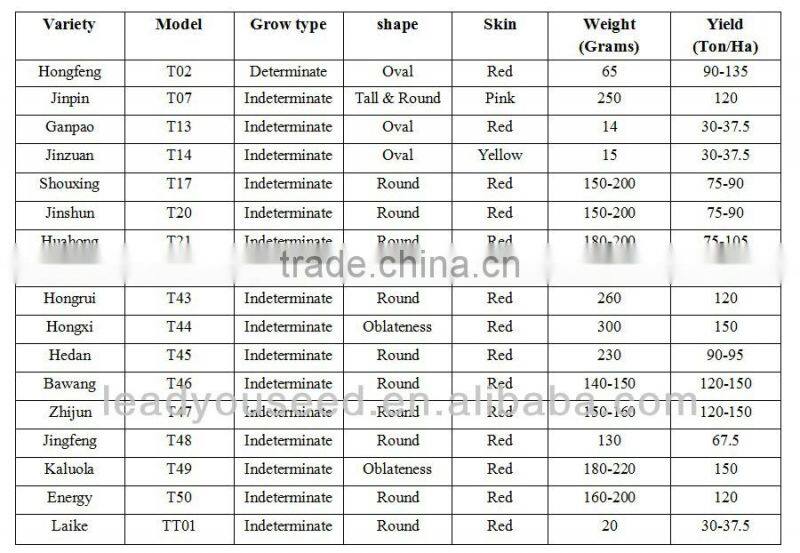 AP201 Guoluo green-yellow skin hybrid pepper seeds in china