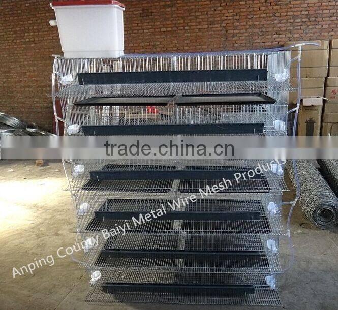 6 Tiers Layer Quail Cages For Sale