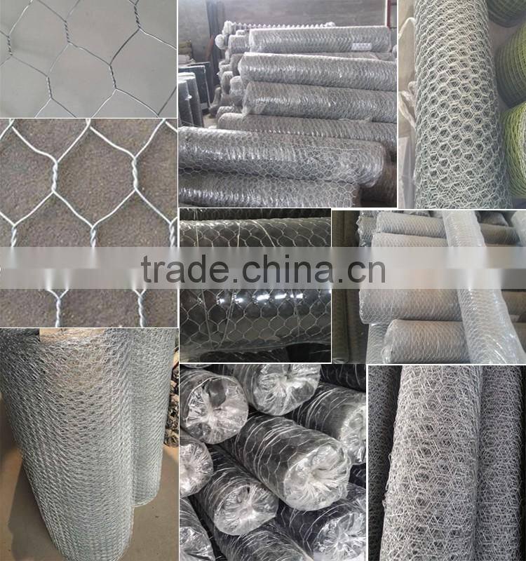 PVC coated Chicken Wire Mesh (Hexagonal Wire Netting)