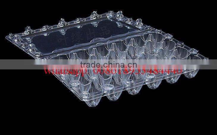 24 Holes rectangular clear transparent plastic quail egg cartons, plastic quail packing tray 24eggs