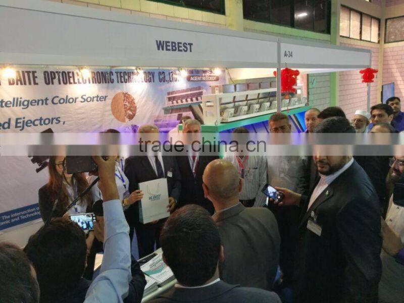 China manufacturer CCD industrial color sorter machine