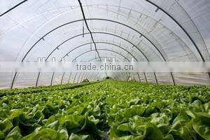 High quality tunnel greenhouse with the type of plastic tunnel