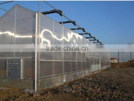 aluminum greenhouse plastic roofing pc sheet