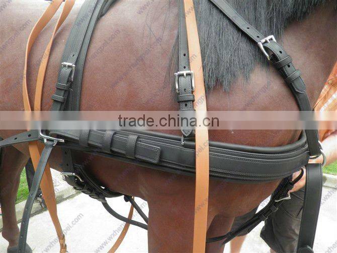 Europe Leather Halter / Padded Horse Halter