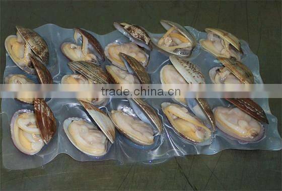 Japanese food supplier frozen delicious fresh whole boiled clam for sale