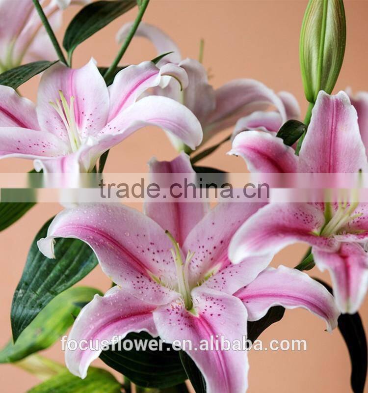 wholesale fresh cut lily flowers from kunming