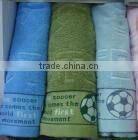 PLUSH EDGE EMBRAIDERY TOWEL