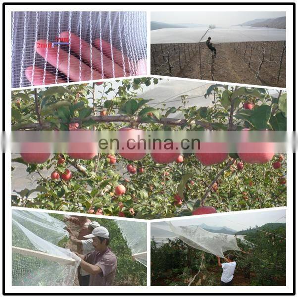 Anti-hail, fruit collection net, run-resistant, double thread, dark green colour.