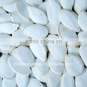 Pumpkin seed
