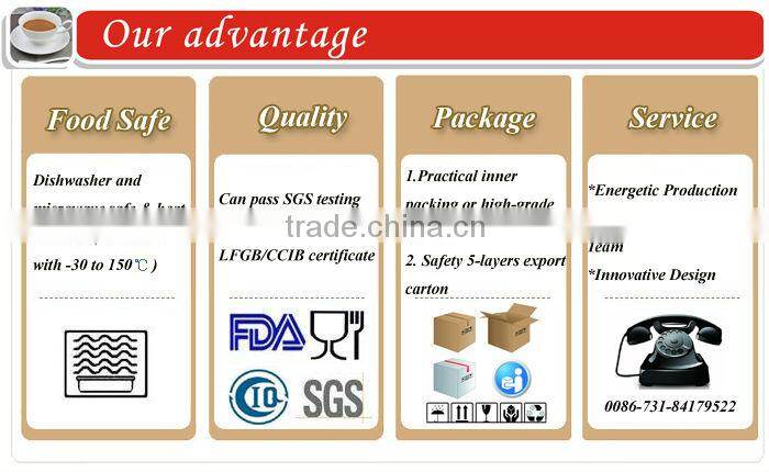 Porcelain Dinner Set/Customized Dinnerware Sets/Square Shape Plates Ceramic/Beautiful Decal Tea Coffee Cup & Saucer