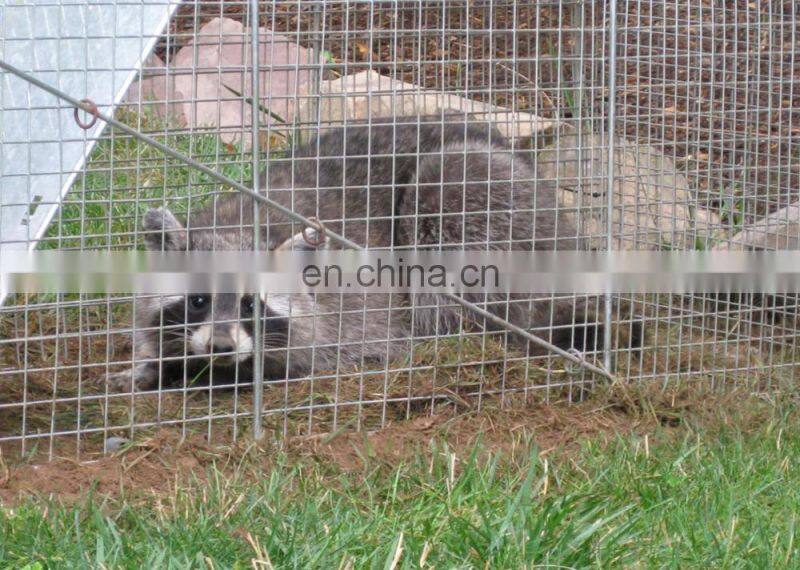 PVC powder coated 10 gauge galvanized welded wire mesh for chicken cage