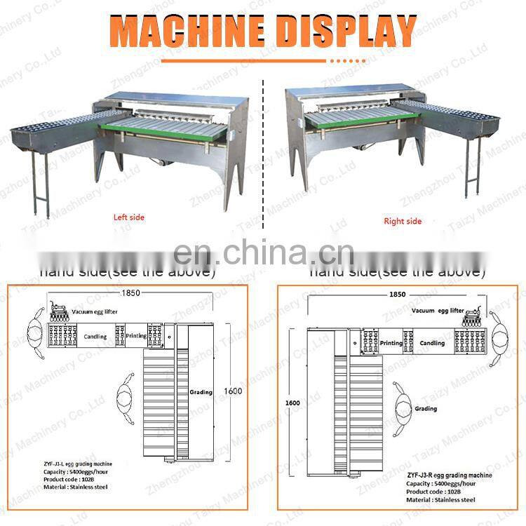 commercial Poultry Equipment Egg Grading Machine egg sorting grading machinery
