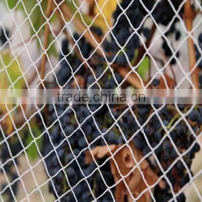 anti insect netting / anti bird mesh