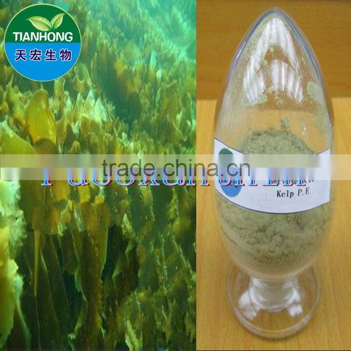 Natural Bilberry Extract of high quality Anthocyanidin 25%