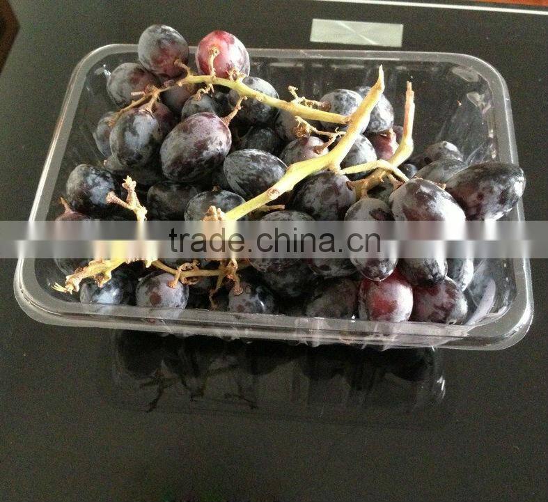 clamshell packaging for fruit