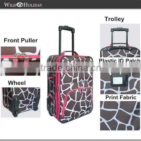 fashional luggage case set
