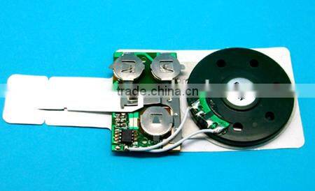 Mini Recordable Sound Module /Voice Recorder Sound Chip For Holiday Greeting Card