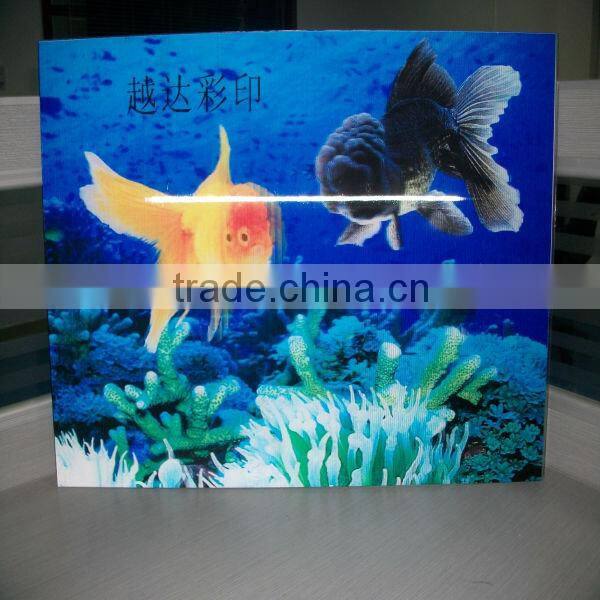 Yueda pvc printer dx5 eco solvent printer
