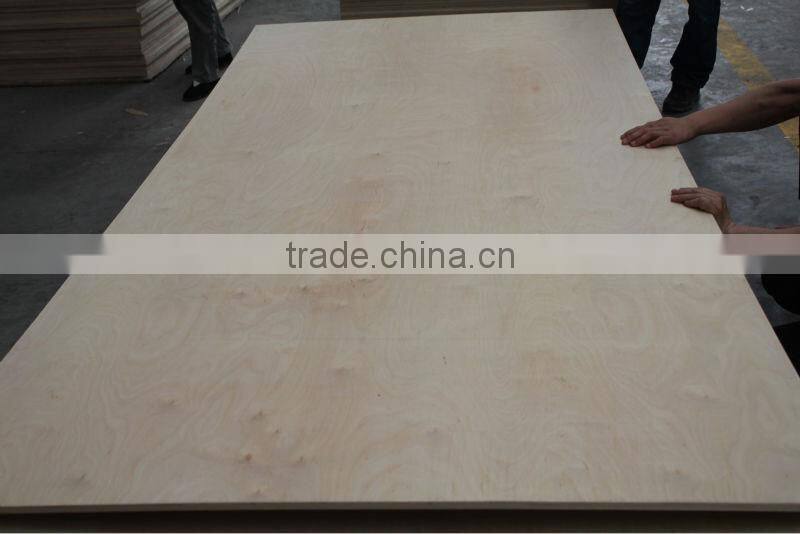 4/6/8/10/18mm bich plywood for russia market
