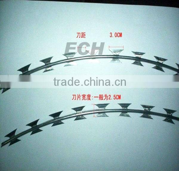 ECH galvanized razor barbed wire