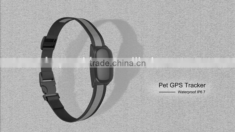 Hot Mini GPS locator worlds smallest pet gps tracker/gps tracker smallest