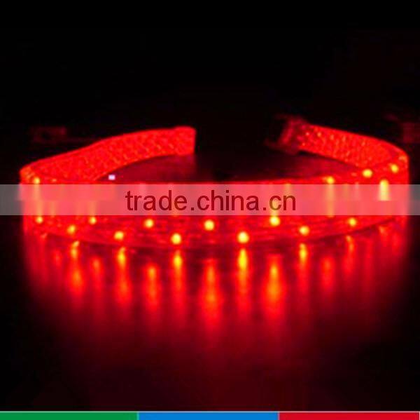 outdoor building projection lighting 110V led flexible hose light