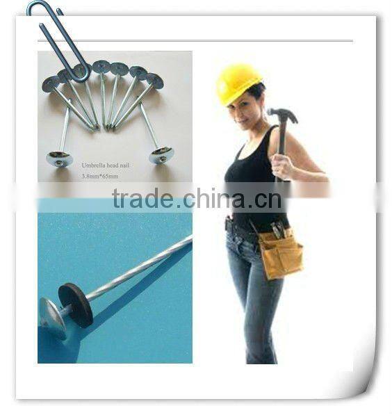 9gauge galvanized umbrella head ring shank roofing nail