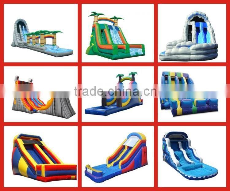 Commercial Giant And Cheap Inflatable Water Slide For Sale