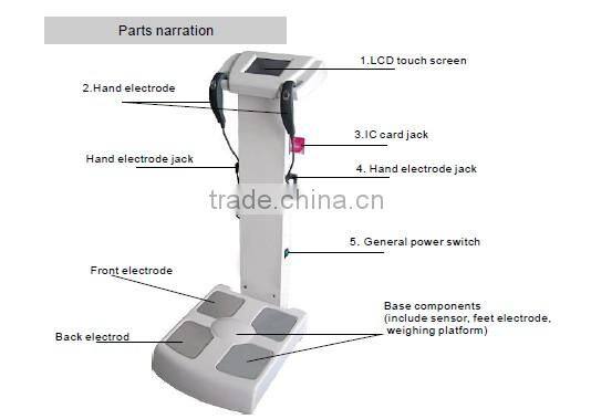 GTO brand Professional vertical style Human-body elements analyzer for health situation analysis