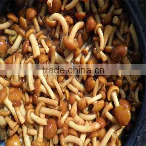2015 crop nameko mushrooms in brine