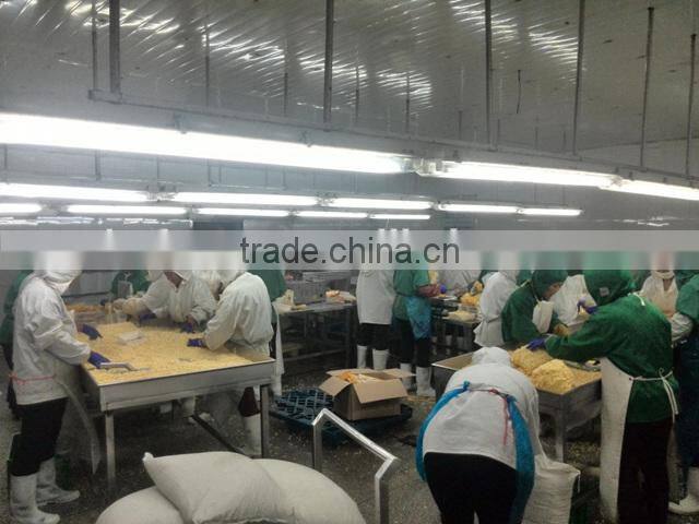 FROZEN SWEET CORN KERNEL