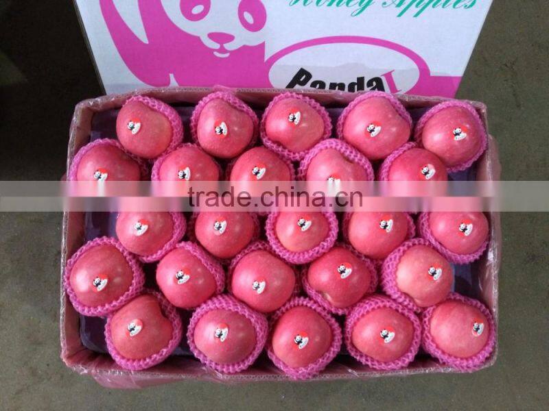 Fuji apples wholesale fruit prices