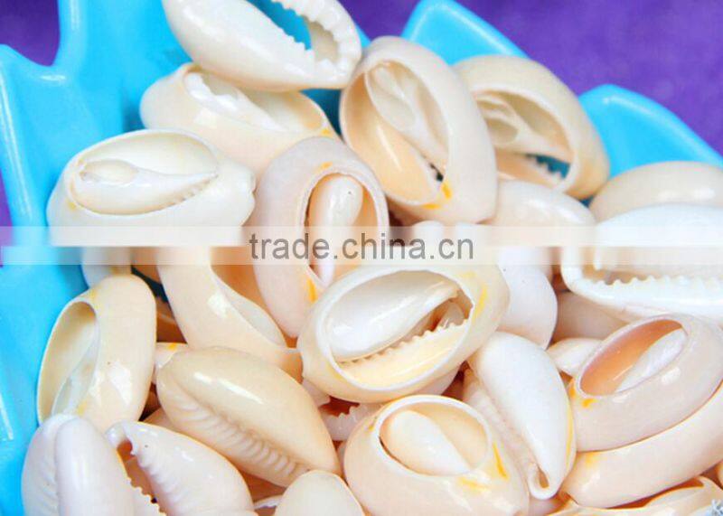 conch slicing machine | shell slicing mahcine | shell craft equipment