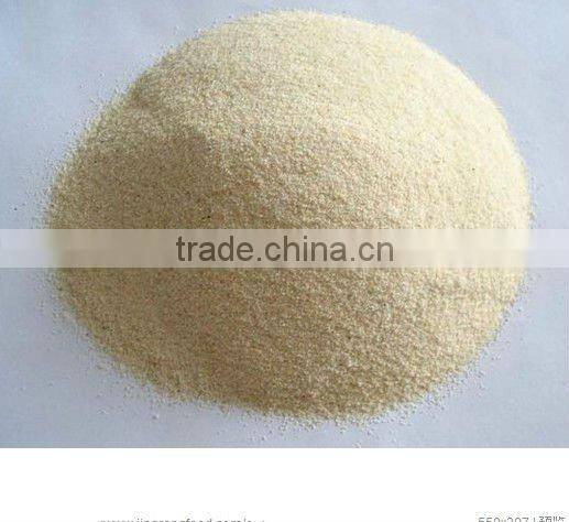 2015 new Dehydrated garlic power