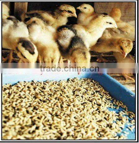 feed pig,cow,sheep chicken pellet machine