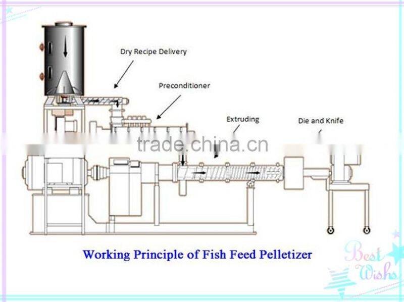 2016 hot sale Low price Wet Type Fish Feed Pellet Making Machine //0086-13607671192