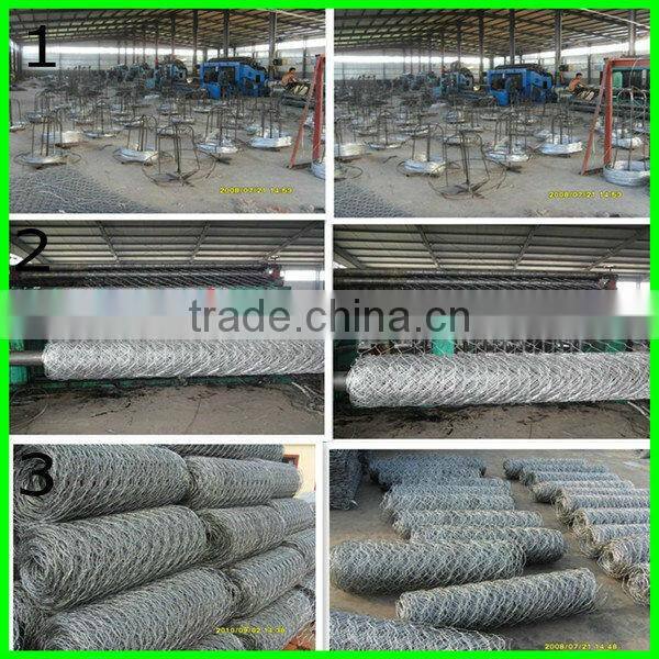 Factory price hexagonal rolls