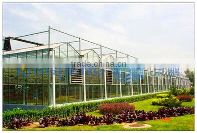 Agricultural Multi Span Glass Greenhouse