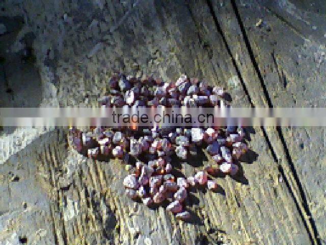 200 tons Alluvial Gold wash plant for sale