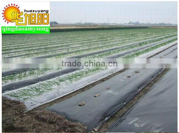 PE Plastic Agriculture Plastic mulch Film