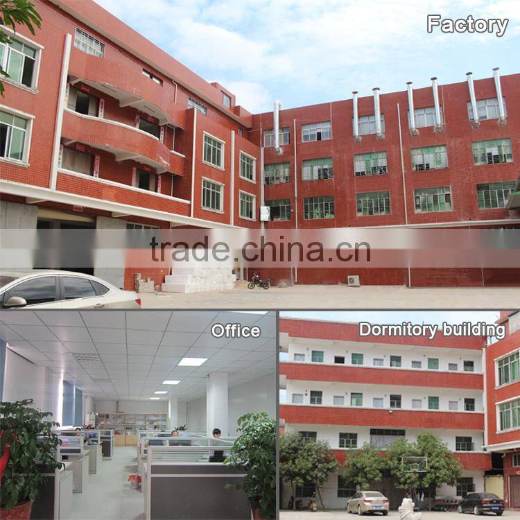 Polyresin Custom Romantic Wedding Picture Insert Snow Globe