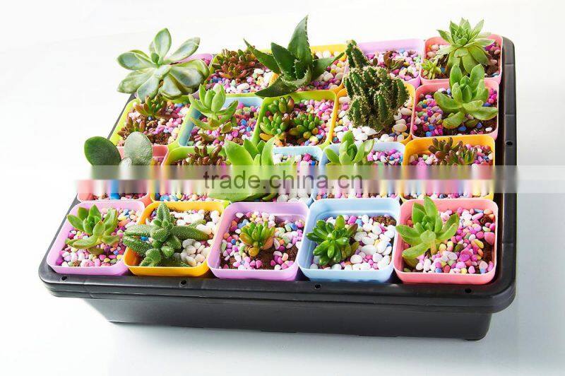 Plastic Raised Garden Bed