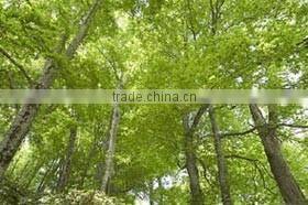 Real estate , Kuromatsunai , Hokkaido , Beautiful Land