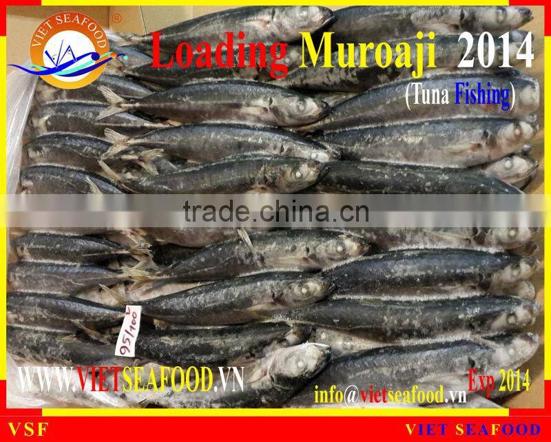 LOADING MUROAJI FOR TUNA BAIT