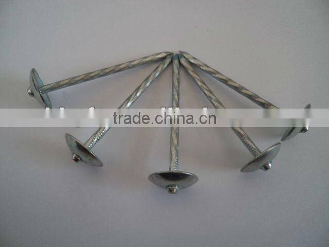 plastic cap roofing nails china supplier on hot sale