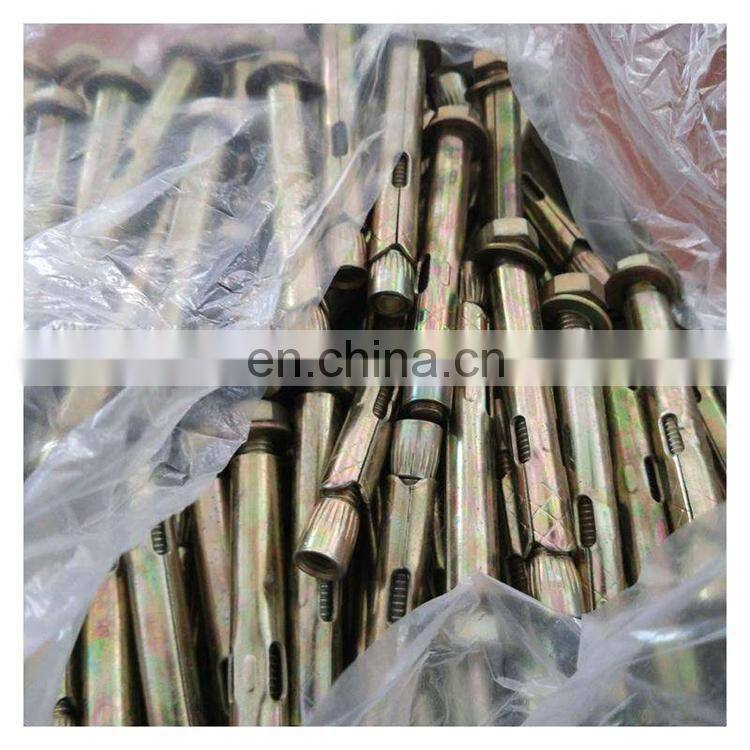Carbon steel and SS.G304/316 Wedge Anchor stainless steel expansion anchor bolt