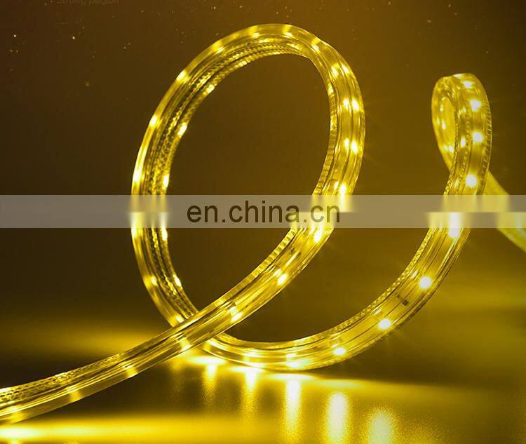 One-stop DC 12V 24V SMD 5050 RGB led light strip