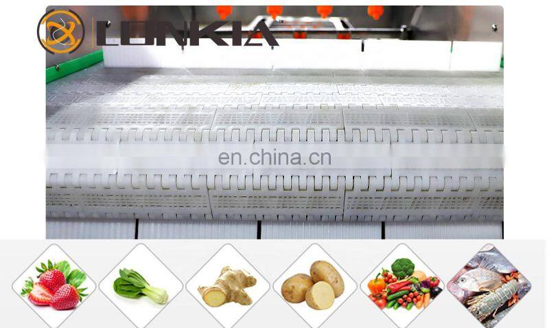 Best Price Fresh Fruit Mango Apple Cleaning Machine Air Bubble Vegetable Washing Machine