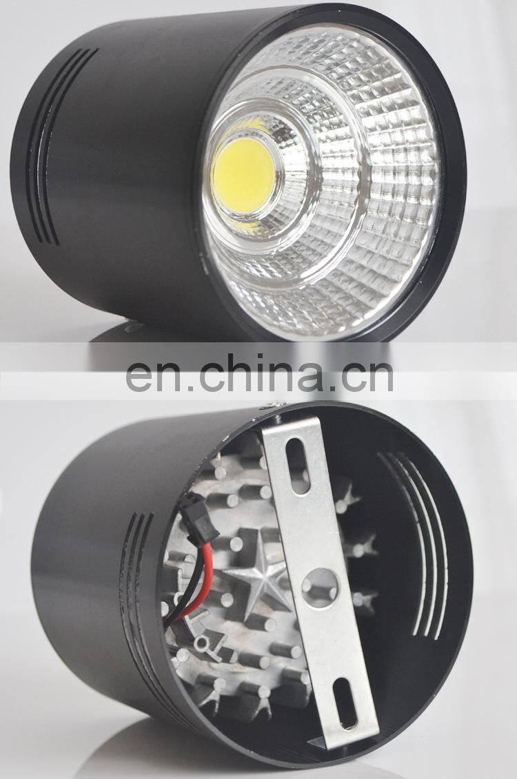6Inch 180mm Round Cylinder Mounted 30W COB LED Down Light